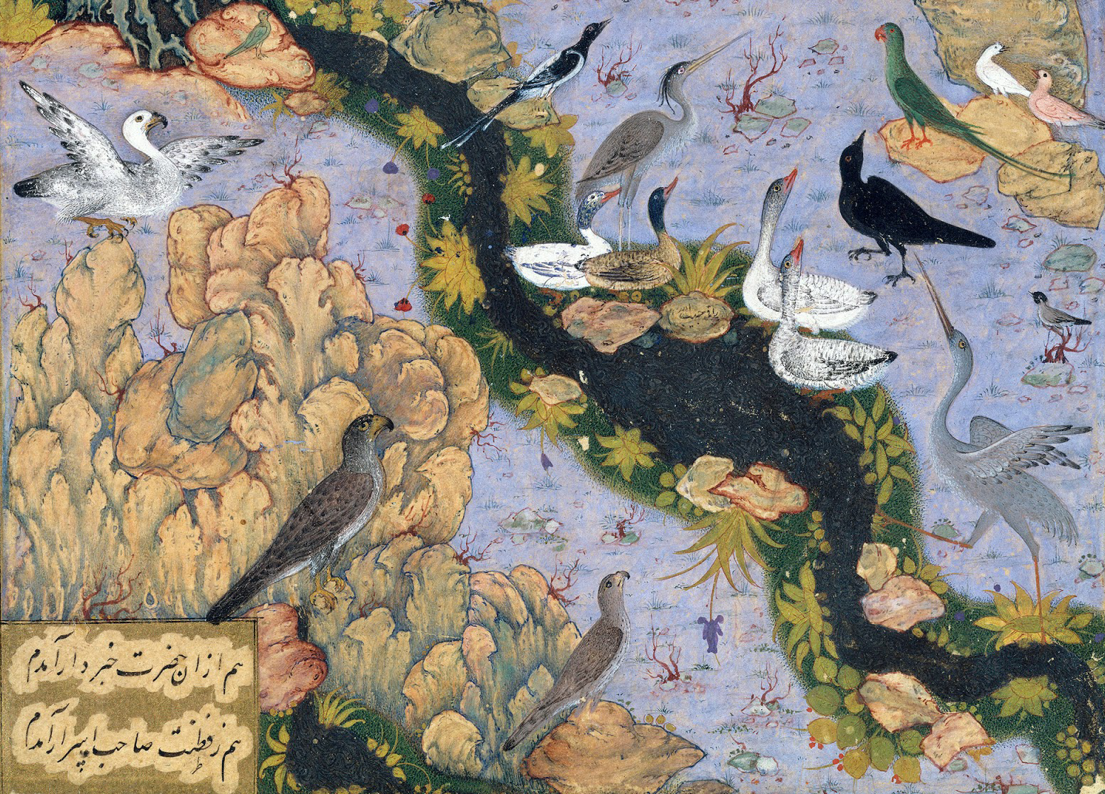 Omid Safi -- Sufi Heart -- Ep. 13 -- The Conference of the Birds part 2