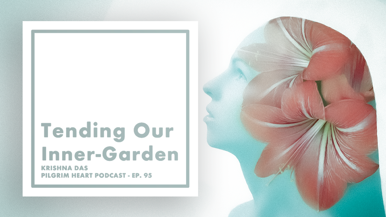 Krishna Das explores tending our inner-garden; planting seeds of spiritual practice now to harvest blossoms of real change in the future.