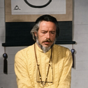 Alan Watts – Being in the Way – Ep. 39 – What Am I?