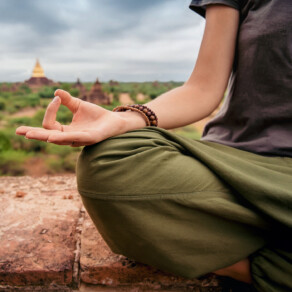 BHNN Guest Podcast – Ep. 257 – Knowing, Sensing, Relaxing: Guided Meditation with Gil Fronsdal
