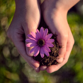 Chris Grosso – The Indie Spiritualist – Ep. 149 – Say ‘Yes’ to Life with Dr. Robert Krause