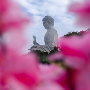 Heart Wisdom with Jack Kornfield – Ep. 332 – Becoming a Servant of Love: Leadership, Wellbeing, Resilience