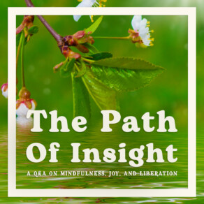 Insight Hour with Joseph Goldstein – Ep. 267 – The Path of Insight: A Q&A on Mindfulness, Joy, and Liberation